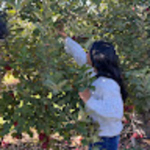 Meet your Posher, Nandi